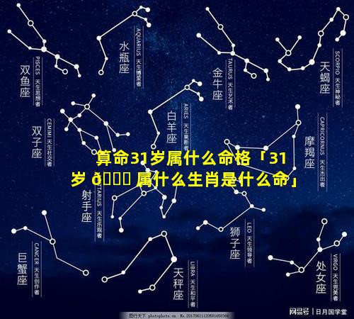 算命31岁属什么命格「31岁 🐘 属什么生肖是什么命」